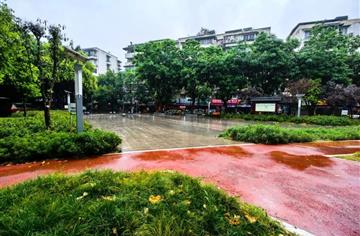 打卡城市“金角银边”丨城市绿地变社区康养公园，“藏”在红牌楼北街的“自然森林花园”